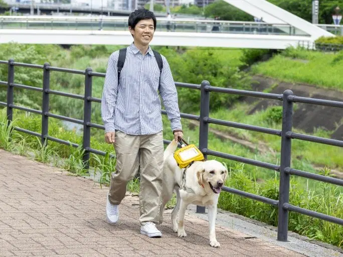 盲導犬