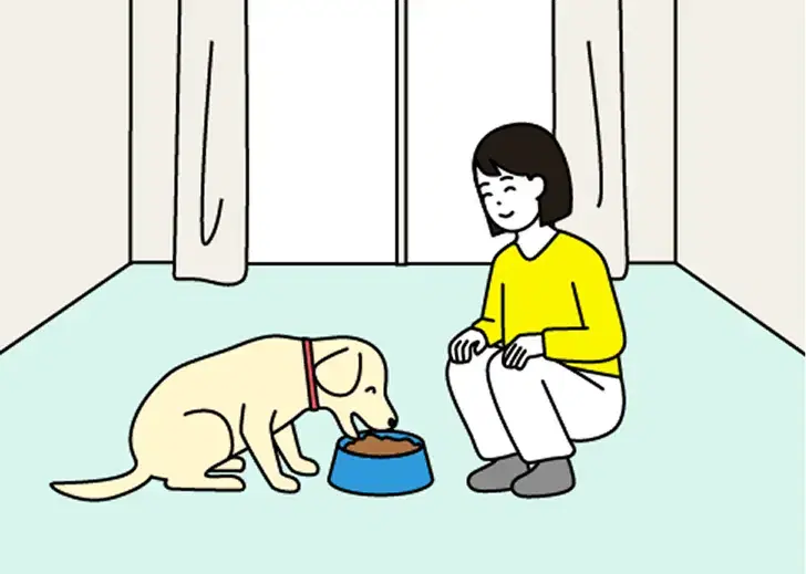 盲導犬