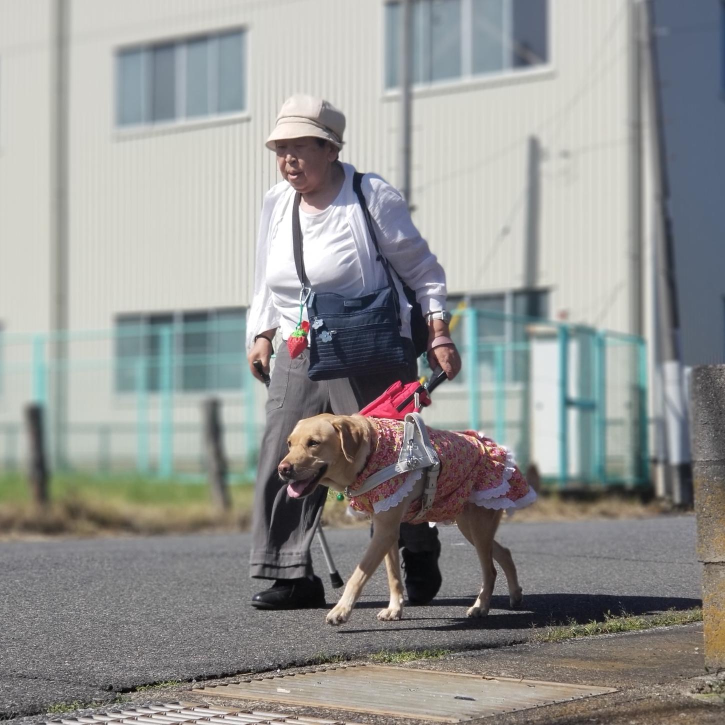 蛭田 友子さん&盲導犬オクターのイメージ画像